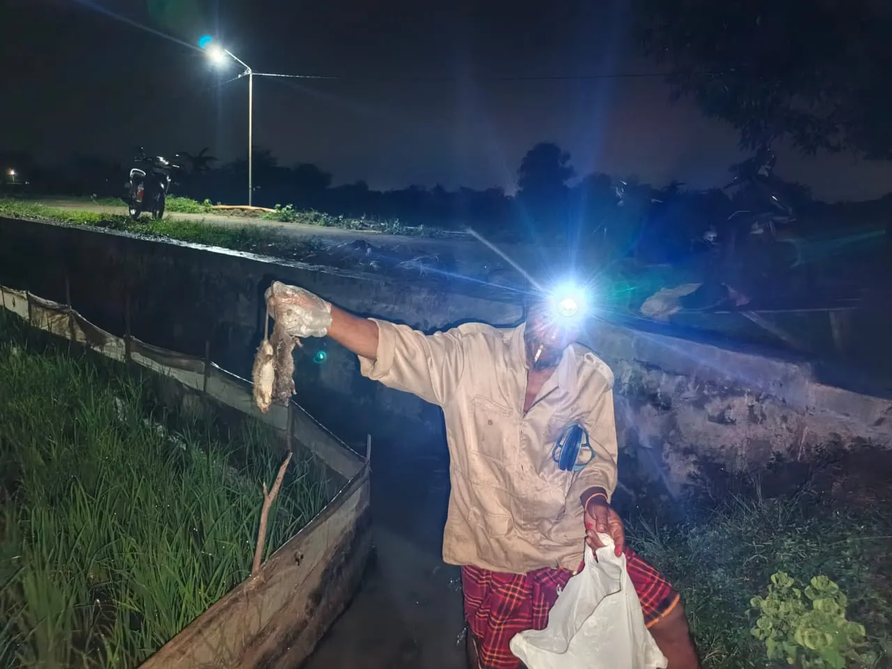Unik, Pemdes Gredek Gelar Festival Gropyokan untuk Berburu Hama Tikus