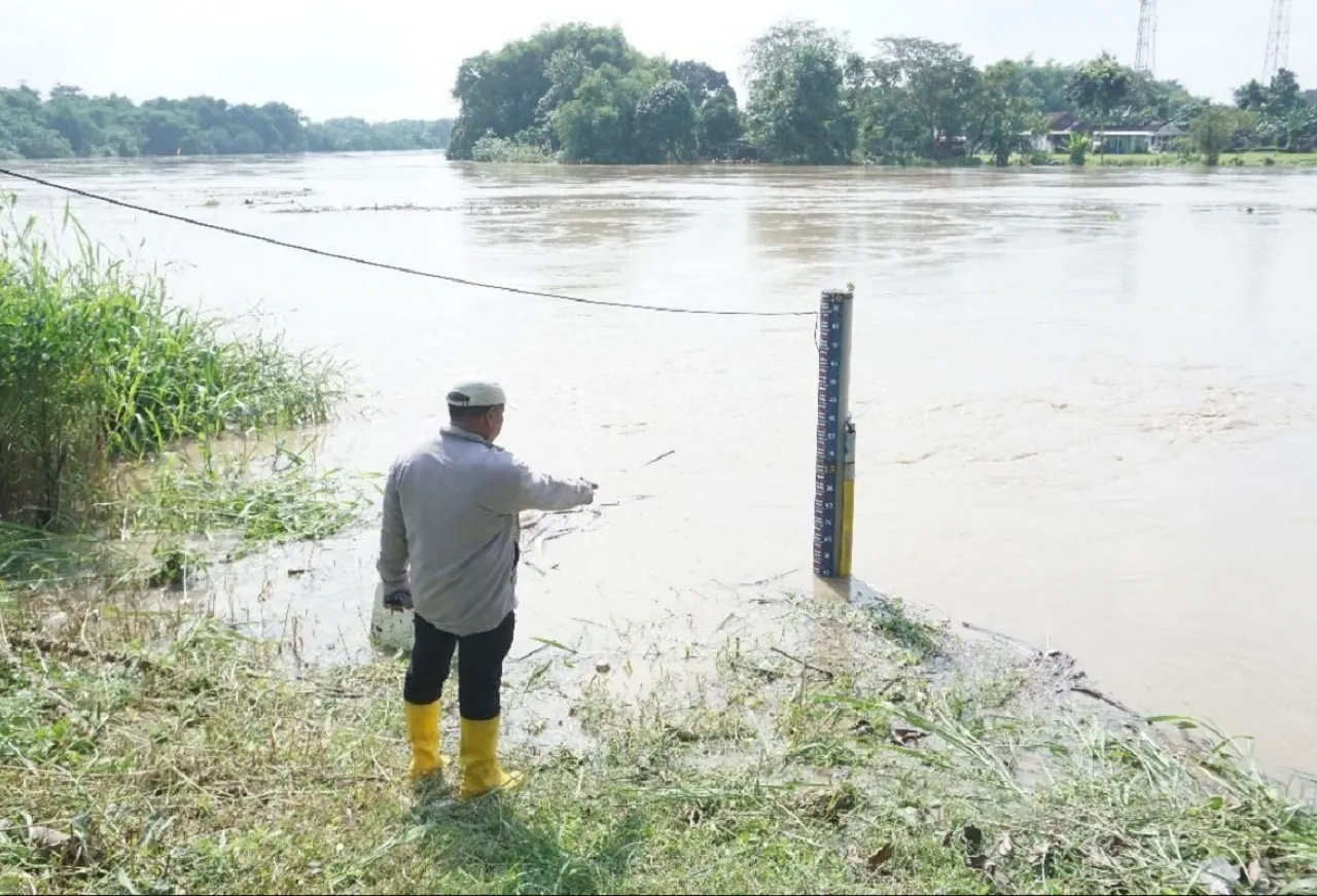 Banjir Meluap, Ternak hingga Rumah Warga di Bojonegoro Ikut Hanyut