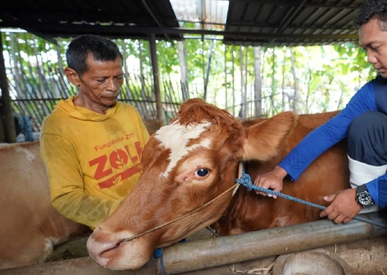 DKPP Kota Madiun Gencarkan Pemeriksaan Kesehatan Ribuan Hewan Kurban Jelang Idul Adha