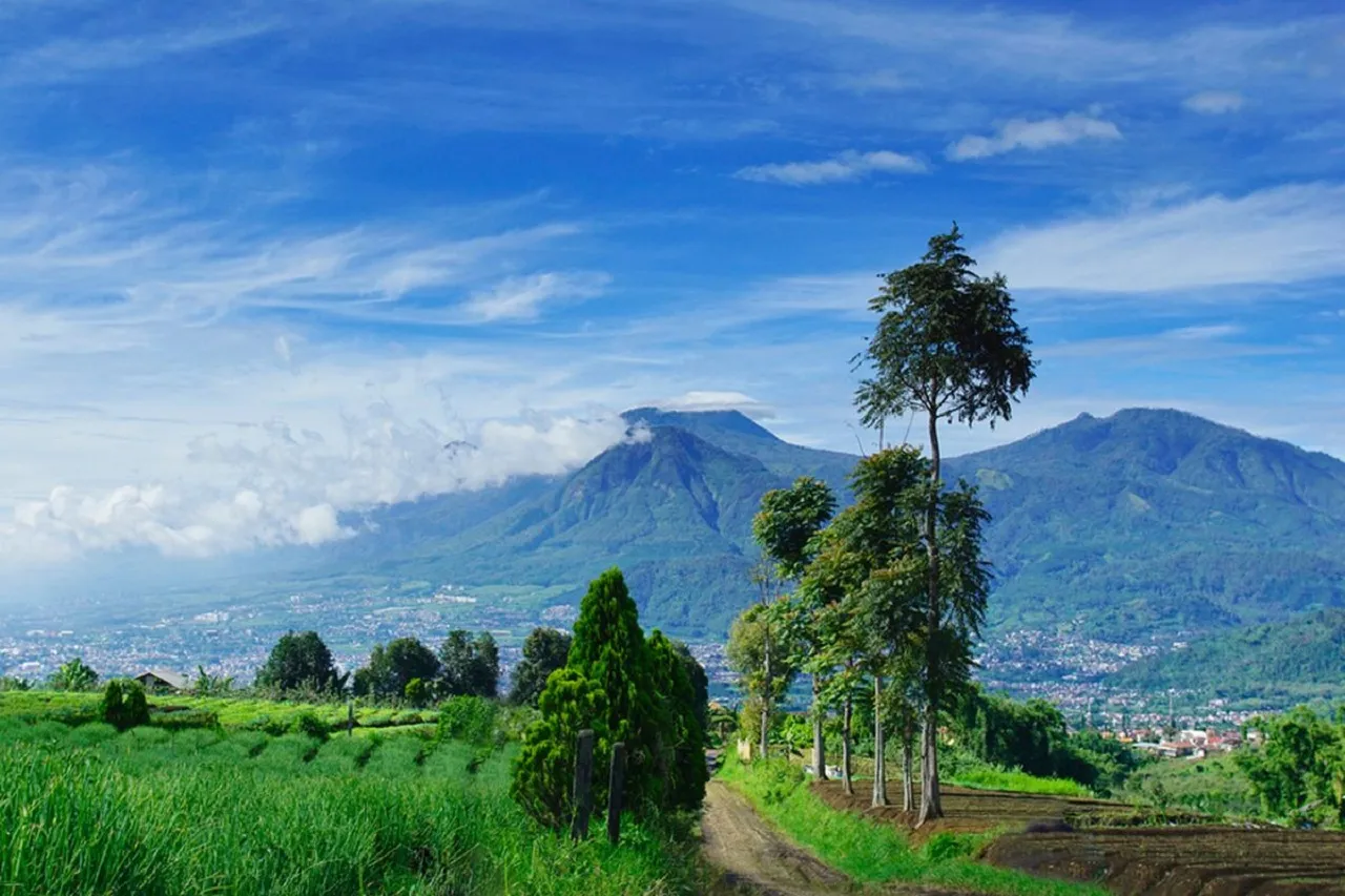 Sempat Ditutup 10 Bulan, Gunung Arjuno-Gunung Welirang Kembali Dibuka