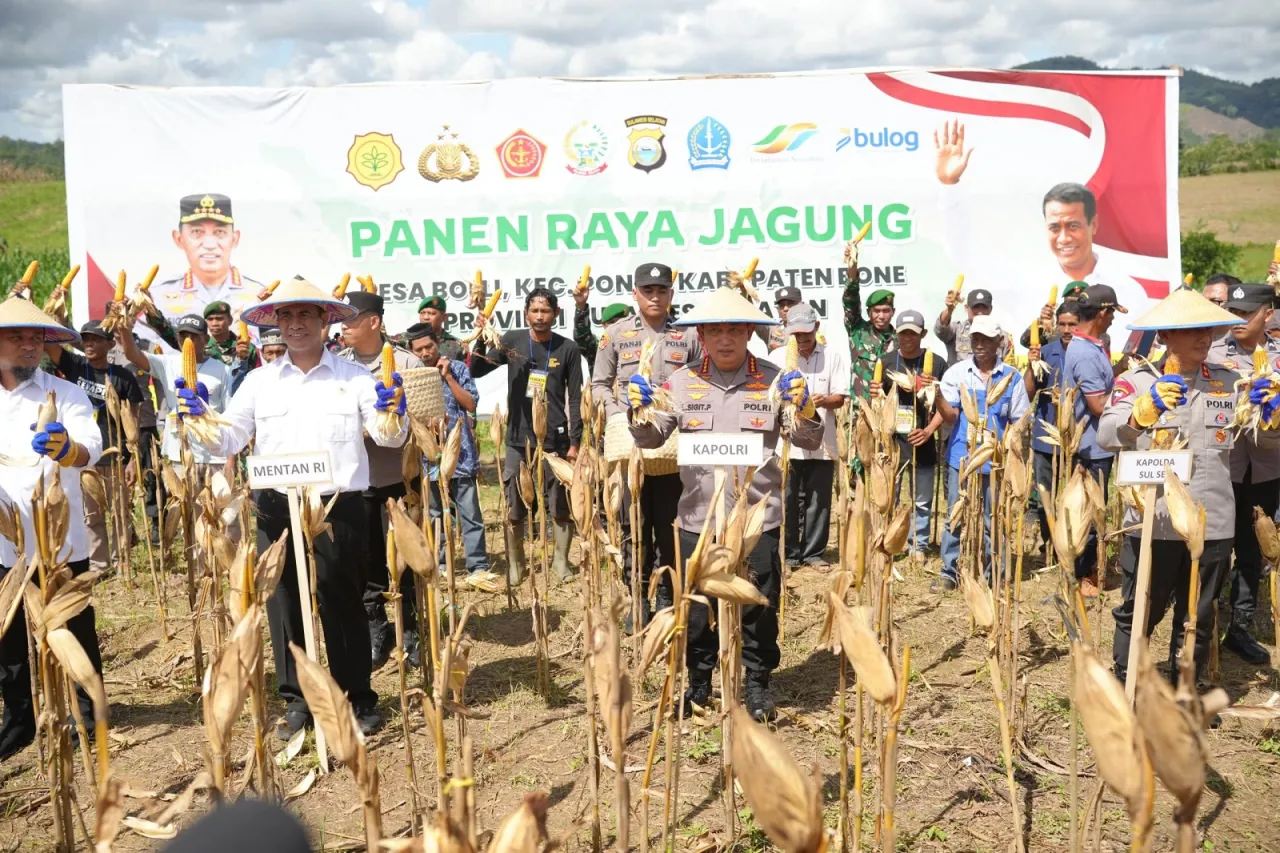 Kapolri Panen Raya Jagung, Tertarik Dukungan Rp 5 Triliun dari Prabowo