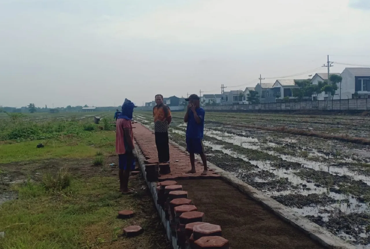Program Pavingisasi, Pemdes Karang Tanjung Percantik Lapangan Sepak Bola