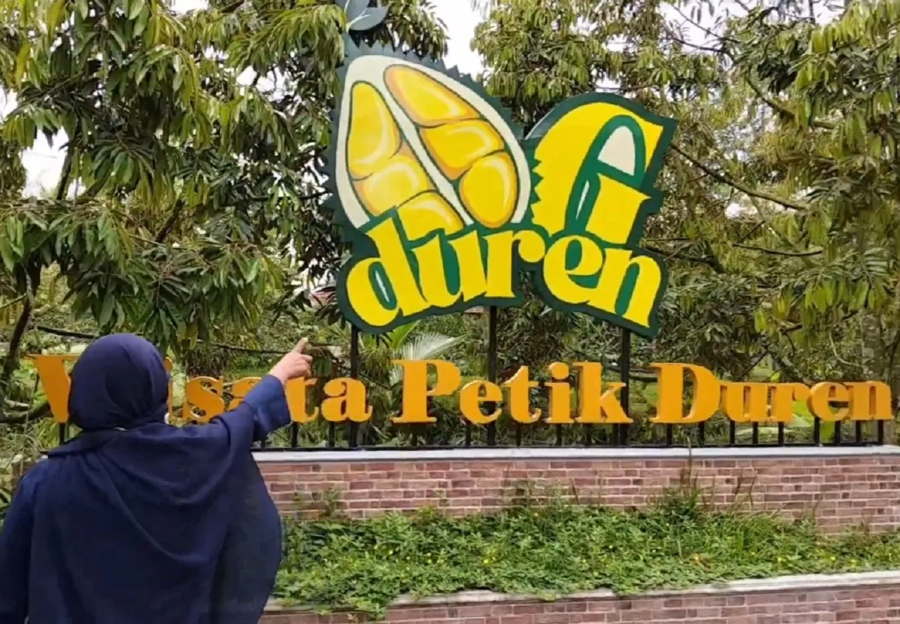 Pemkab Malang Kembangkan Wisata Petik Durian, Tiket Masuk Gratis