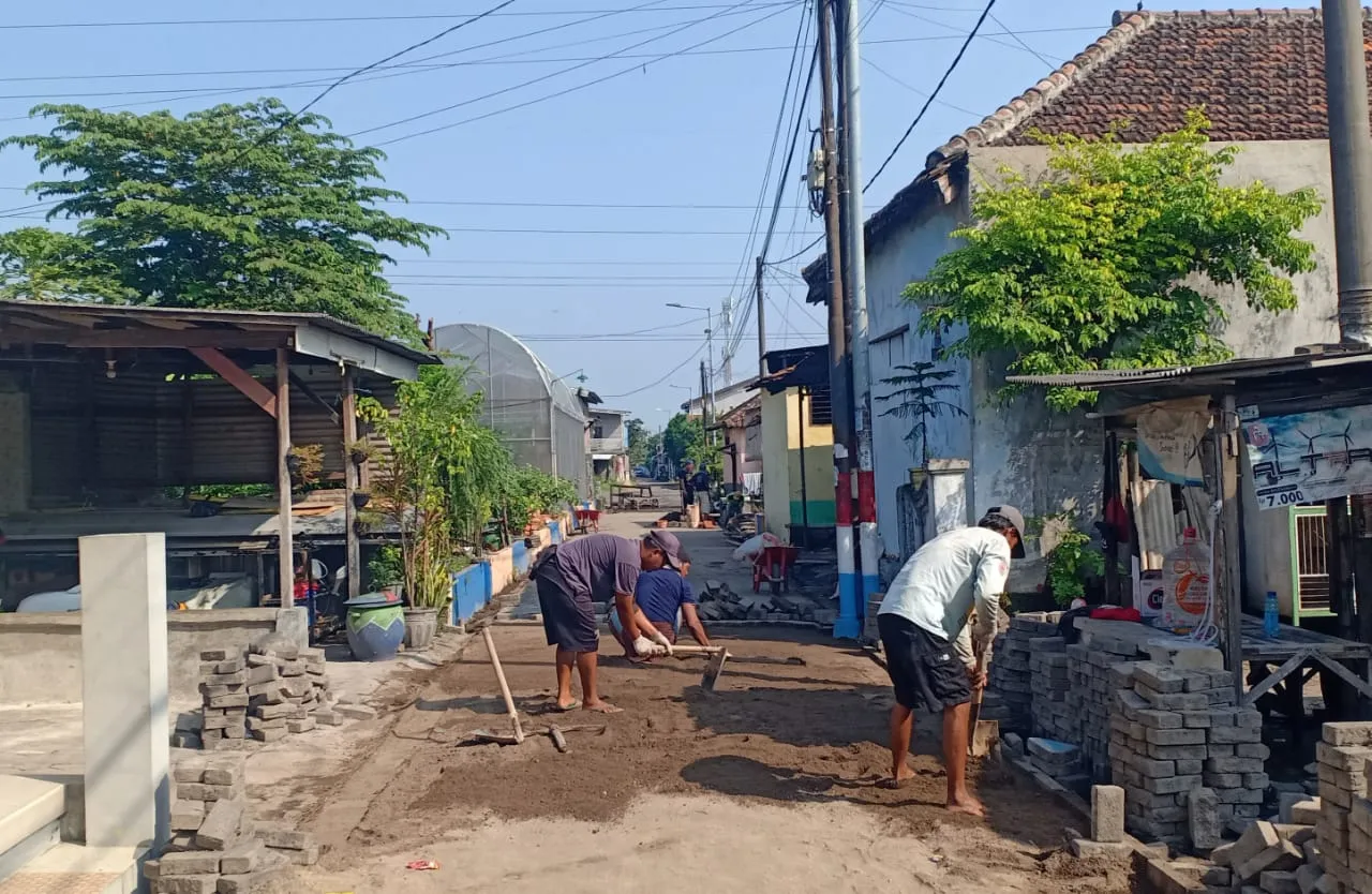 Pemerintah Desa Sumokali Kecamatan Candi Pavingisasi Jalan Cemara Area Sawah RT 06 RW 02
