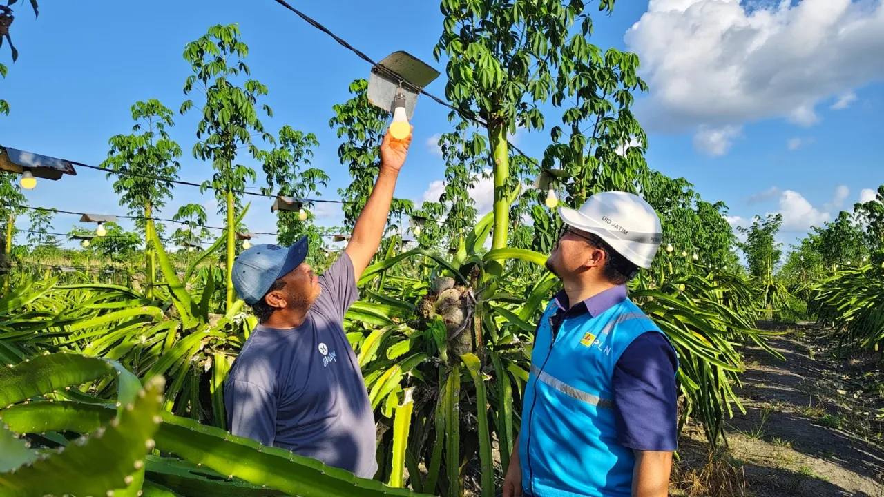 PLN Jatim Catat Kinerja Penjualan Tenaga Listrik Capai 22,69 TWh