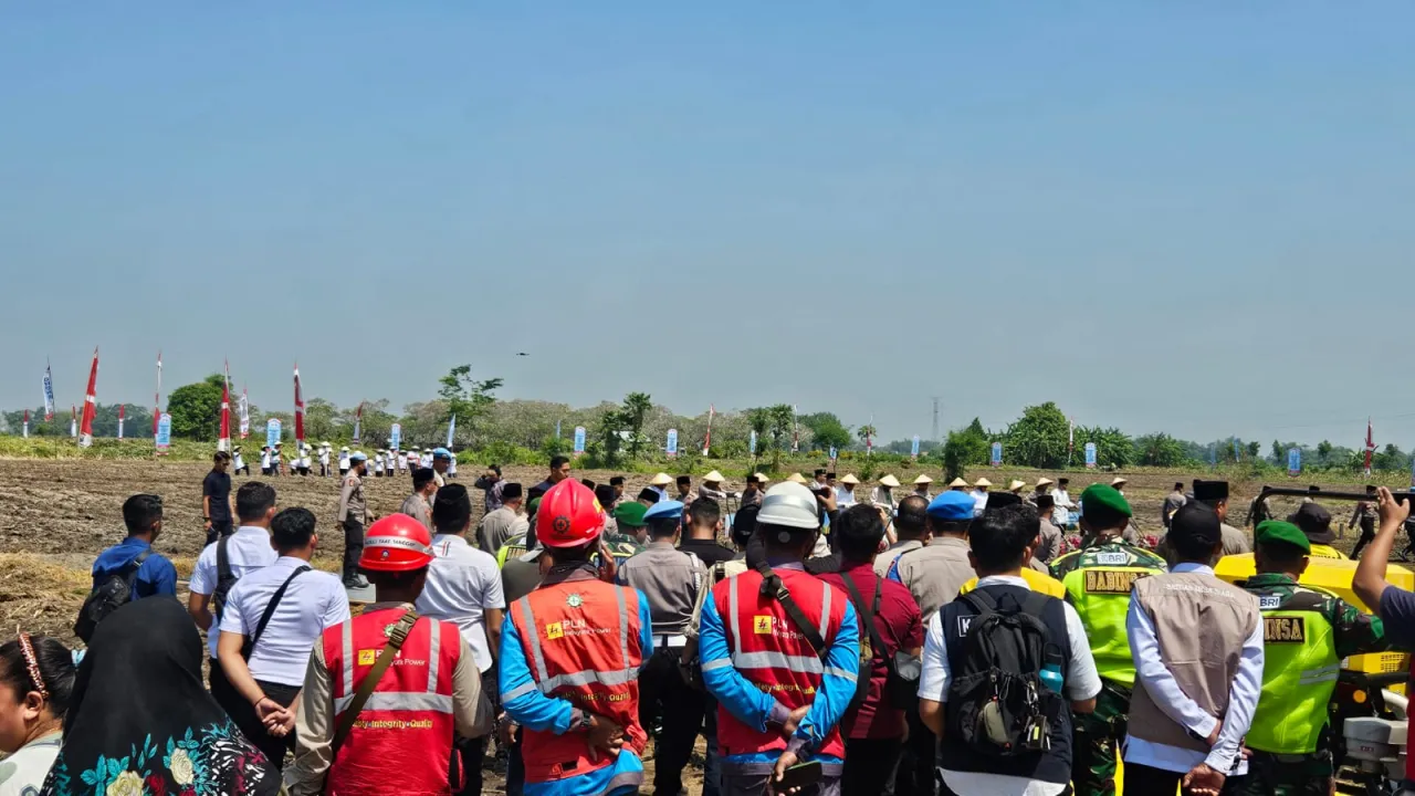 PLN Dukung Keandalan Listrik Penanaman Jagung Serentak Bersama Santri se-Indonesia