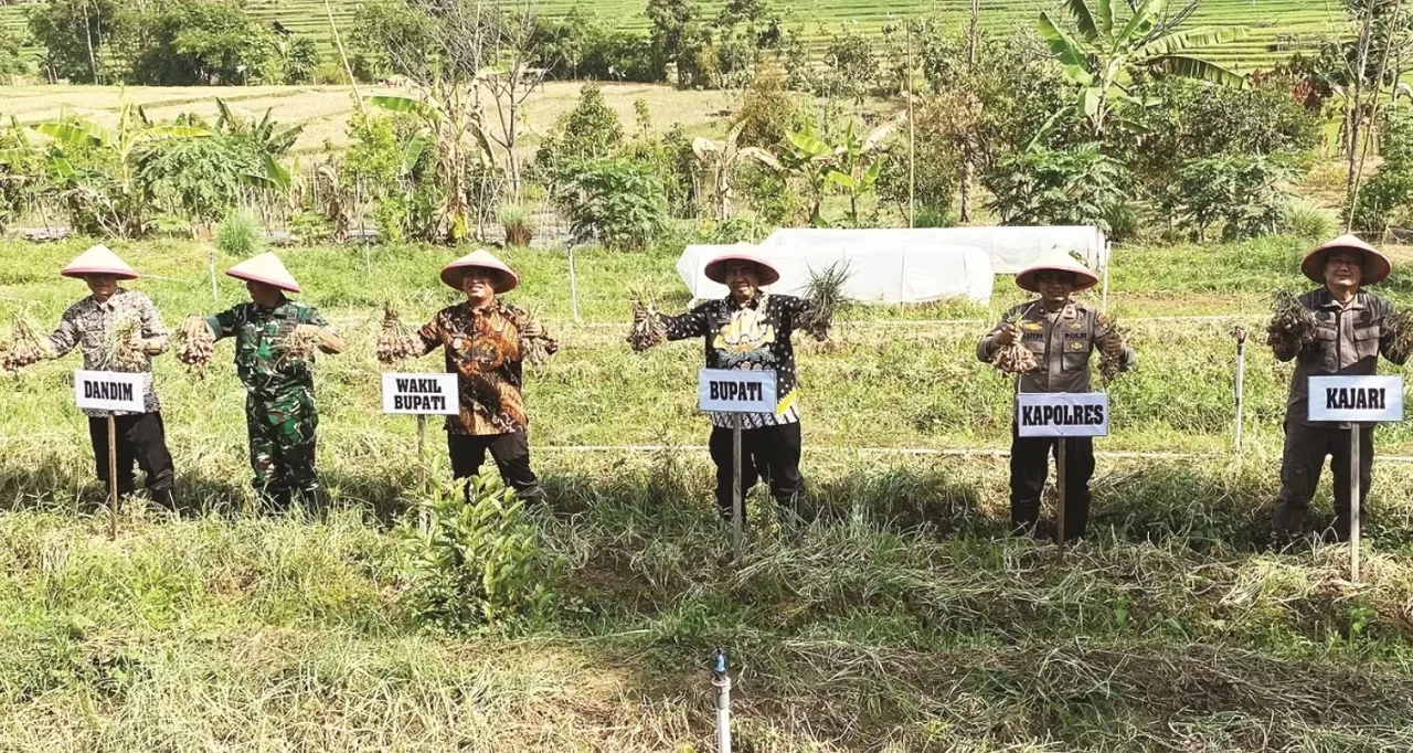 Tekan Inflasi, Pemkab Madiun Minta Petani Budidayakan Bawang Merah