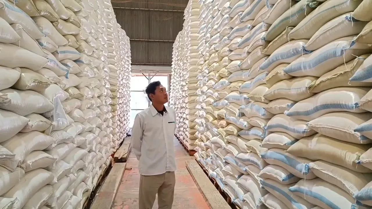 Stok Beras Tembus 95 Ribu Ton, Bulog Probolinggo: Aman hingga 3 Tahun
