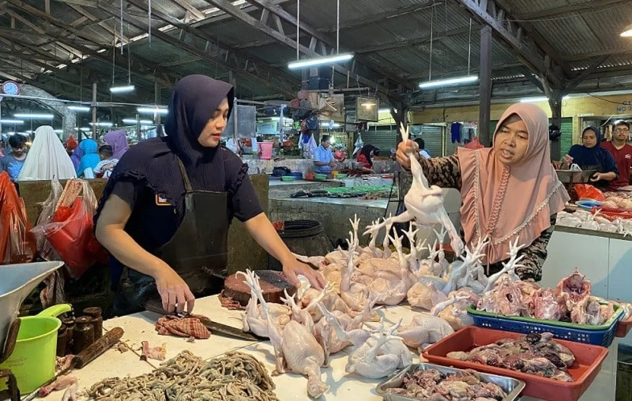 Banyaknya Permintaan, Harga Ayam di Lumajang Naik Rp 2 Ribu per Kg