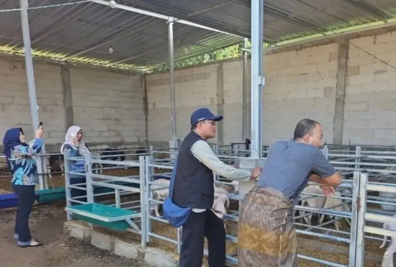 Tekan Risiko Penyakit, Pemkab Probolinggo Fasilitasi Pengawasan Hewan Impor dari Australia