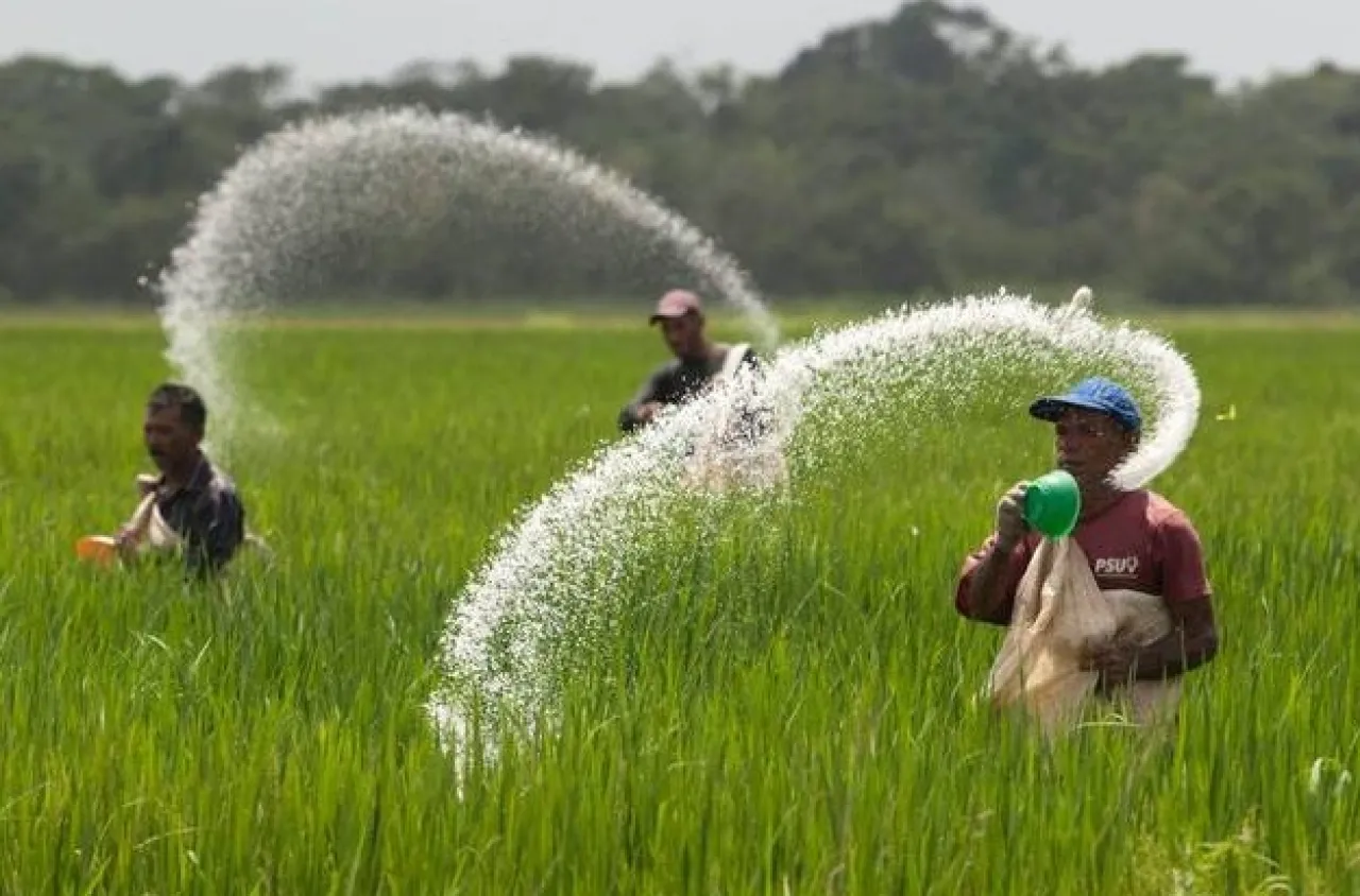 Pemkab Pastikan Stok Pupuk Subsidi Petani Aman hingga Akhir Tahun