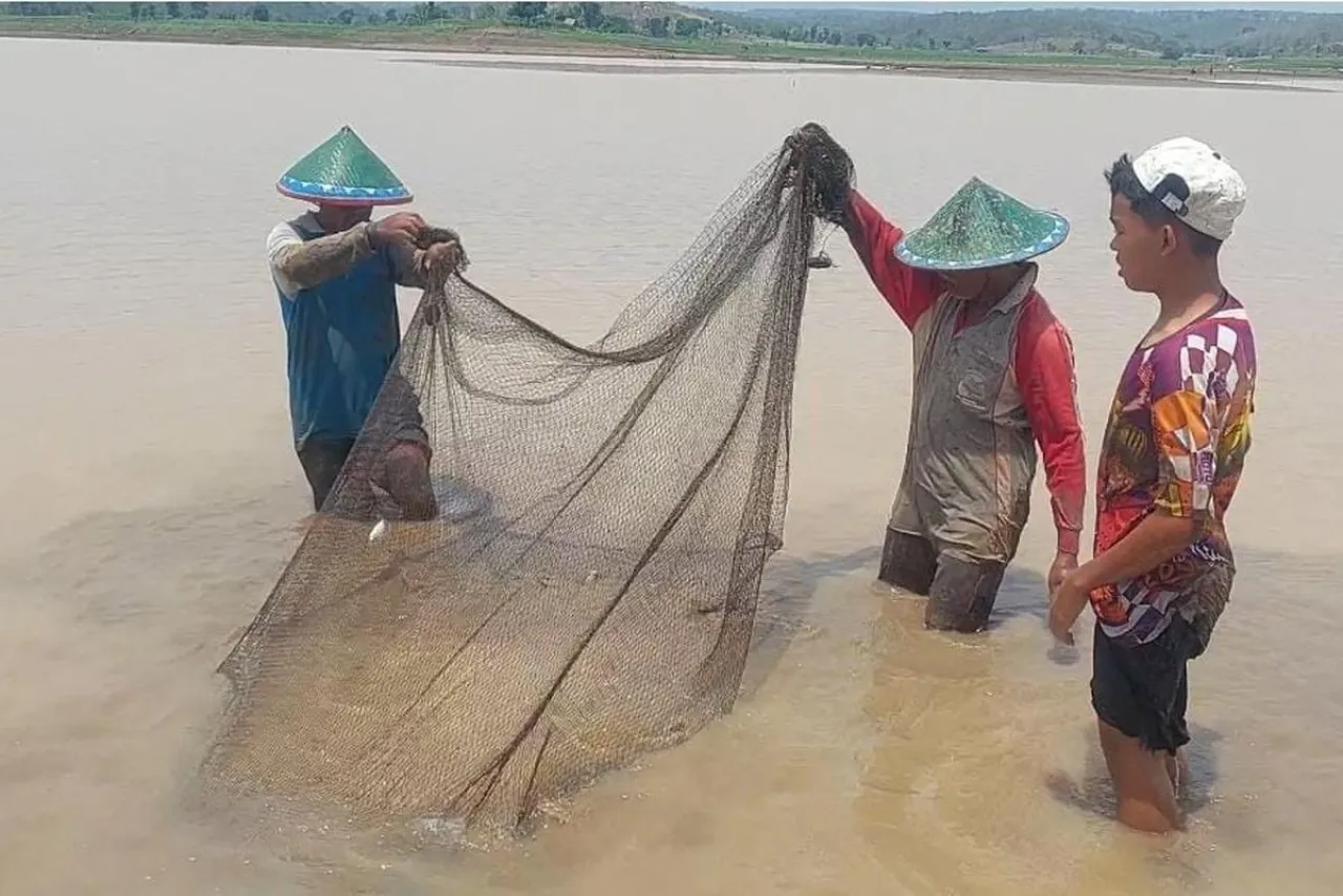 Berkah Air Waduk Surut, Petani di Madiun Panen Ikan 35 Kilogram Per Hari