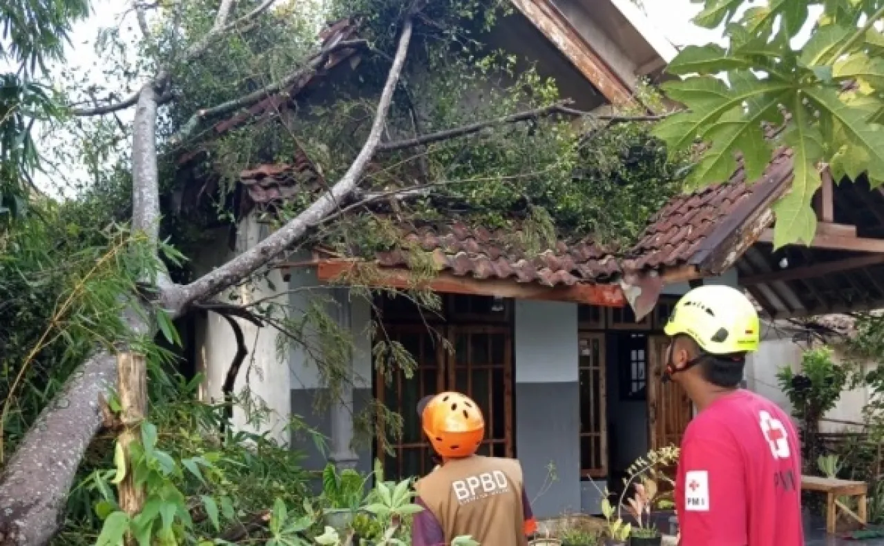 Diterjang Hujan Angin: Warga Merugi, Puluhan Rumah di 2 Kecamatan Malang Rusak