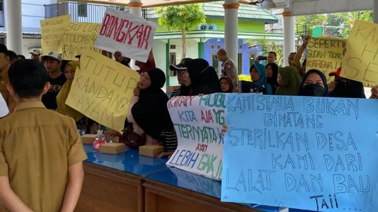 Heboh! Warga di Bojonegoro Desak Kandang Ayam Ditutup Gegara Serangan Lalat
