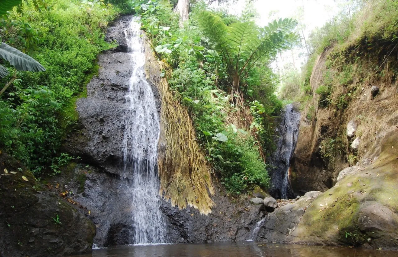 Air Terjun Roro Kuning, Hadirkan Efek Relaksasi Alami di Lereng Gunung Wilis