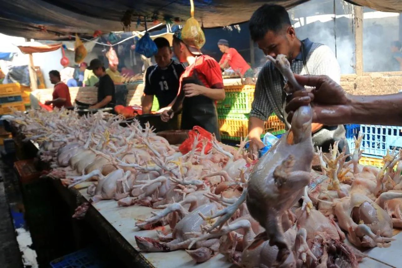 BPS Catat Inflasi Bulanan Kota Malang Dipicu Daging Ayam Ras hingga Emas 