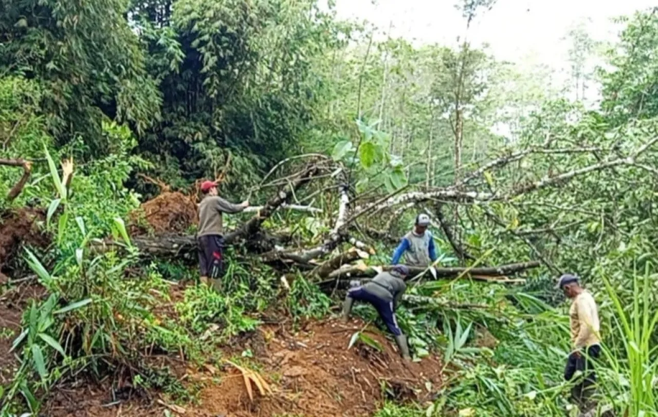 Jalur Madiun - Ponorogo Via Kandangan Longsor Diguyur Hujan Deras, Aktivitas Warga Terganggu