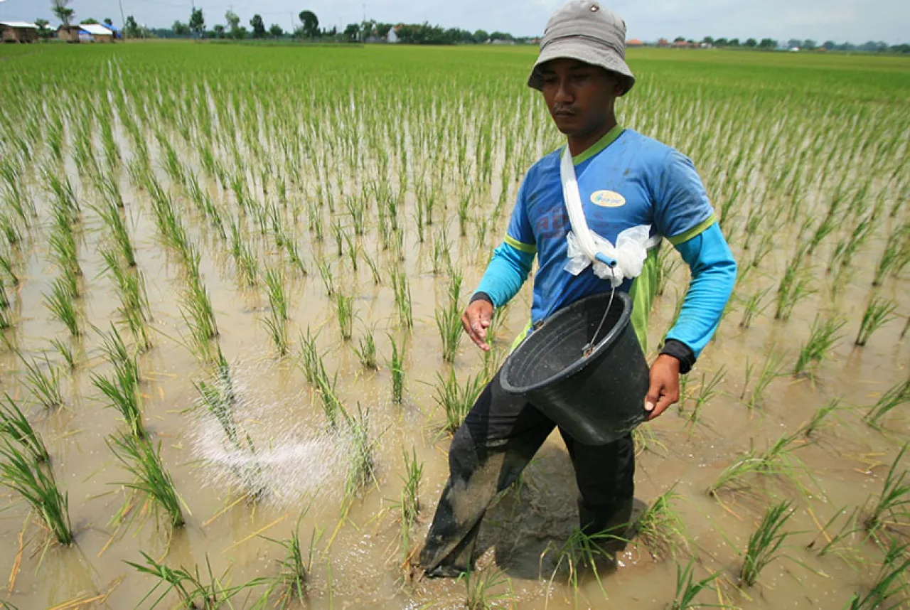 Dukung Swasembada Pangan, Pemkot Madiun Gelontorkan Bantuan Pupuk 146 Ton