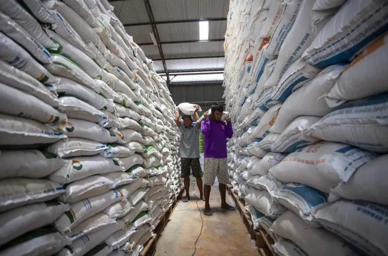 Serapan Gabah di Madiun Capai 95 Persen, Harga Tetap Rp 6.500 per Kg