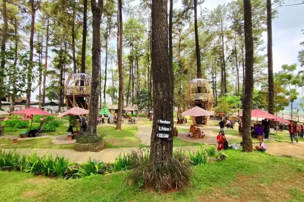 Tanaria Park Prigen, Wisata Instagramable Lereng Arjuno di Hiruk-pikuk Kota