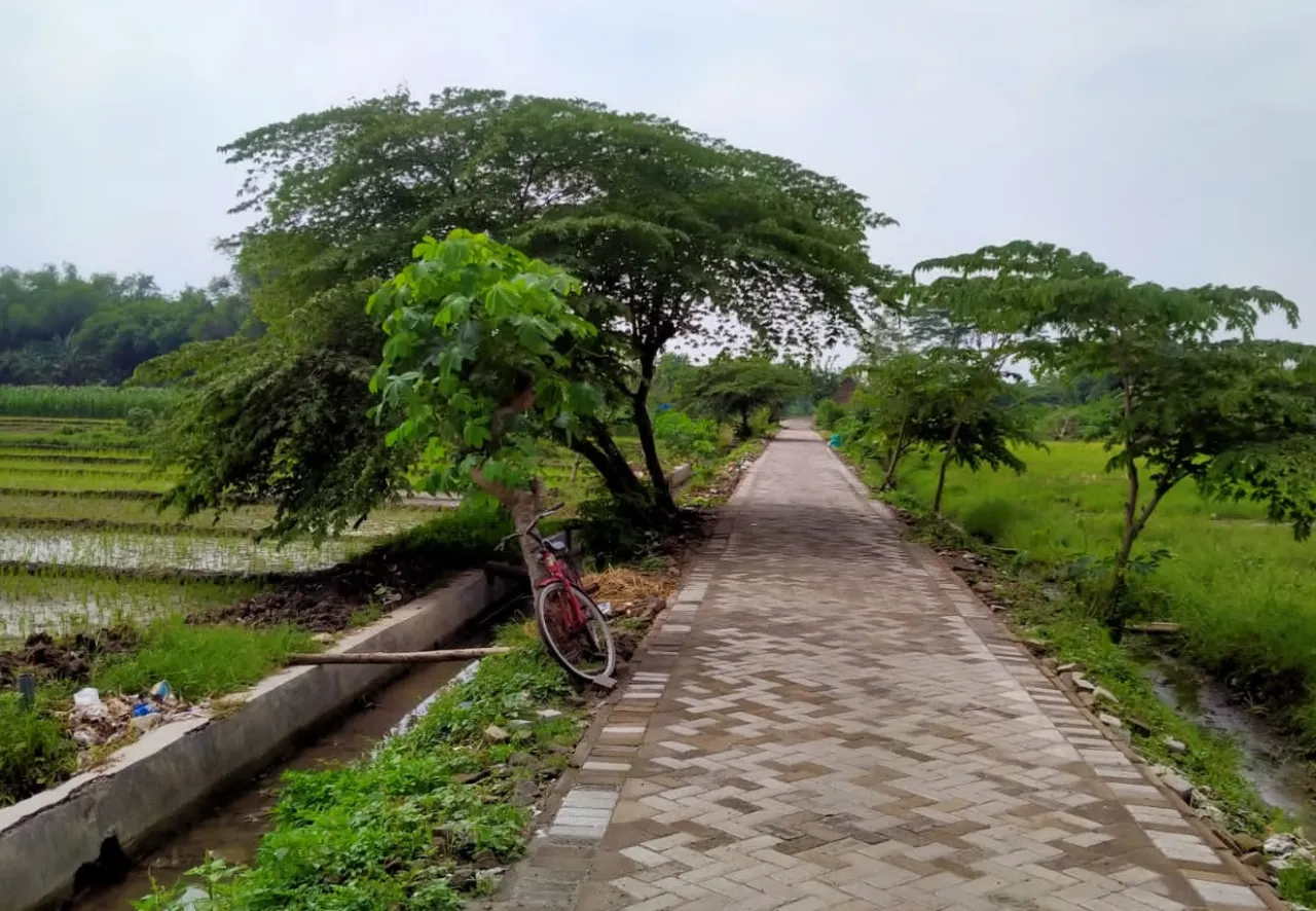 Permudah Akses Warga, Pemdes Kedungbocok Rehabilitas Jalan Persawahan