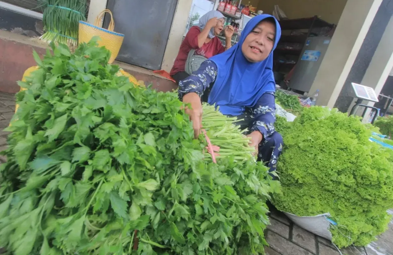 Berkah Petani Sayur di Magetan Ketiban Cuan Gegara Program MBG
