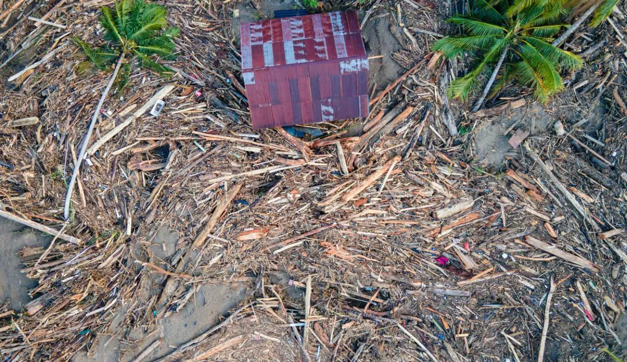Viral Gelondongan Kayu Diduga Ilegal Logging, Legislator Kaget