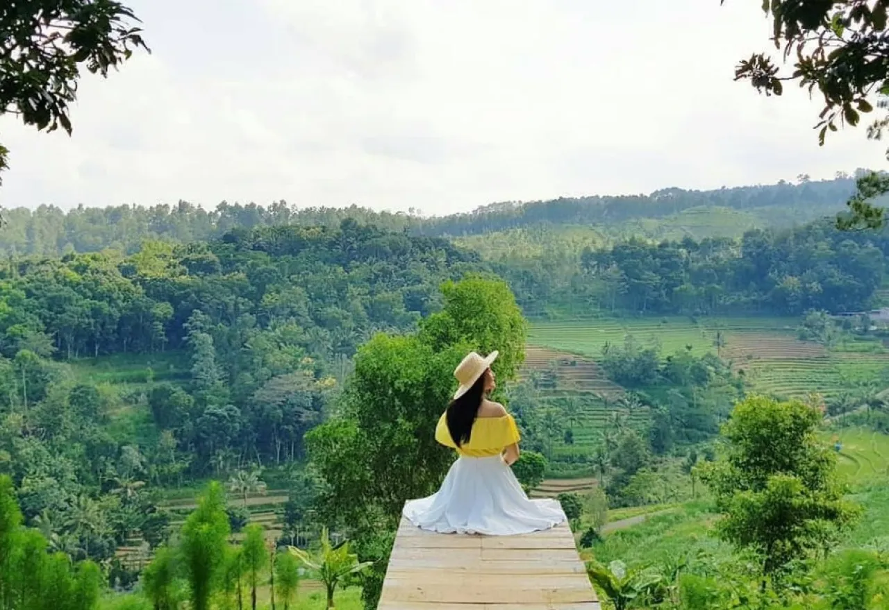 Nyawangan Park, Suguhkan Barisan Hutan Pinus yang Cocok Bersantai hingga Jadi Spot Romantis