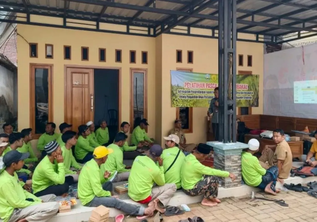 Tingkatkan Produktivitas, Pemkab Situbondo Berikan Pelatihan Petani Tembakau