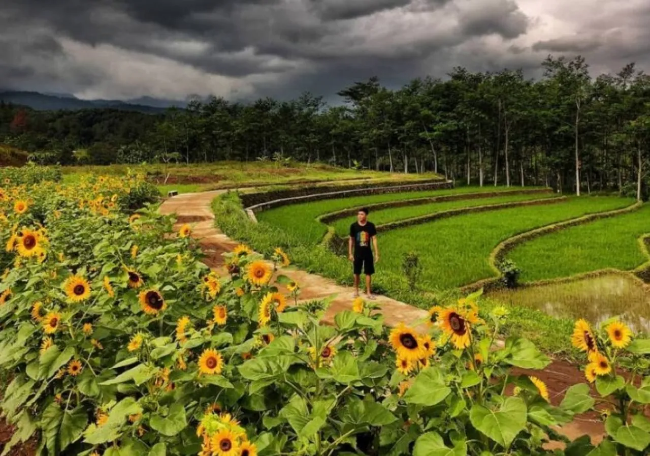 Surganya Pecinta Fotografi, Poetoek Soeko Trawas Suguhkan Taman Berpanorama Gunung Estetik