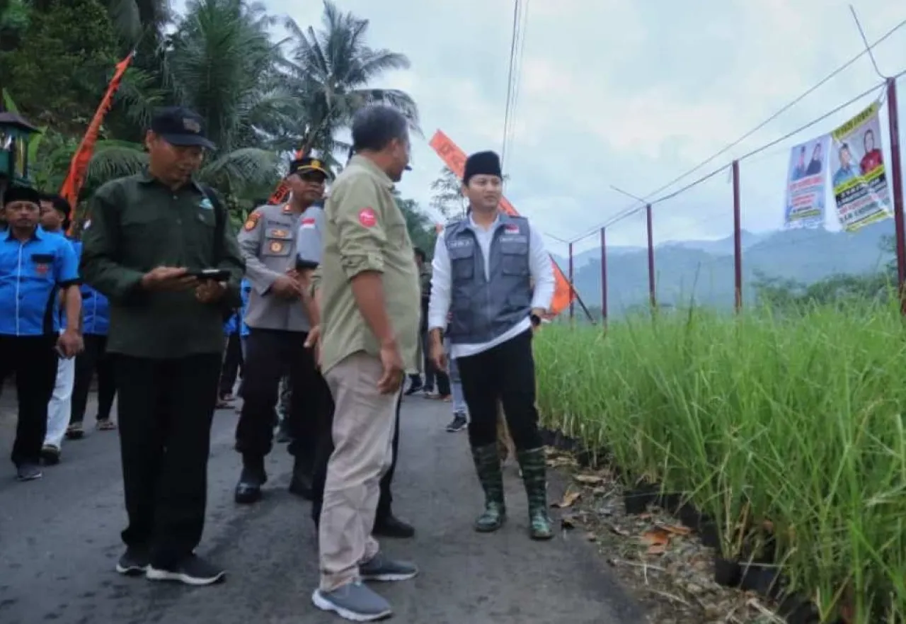 Mitigasi Bencana, Trenggalek Tanam 25 Ribu Rumput Vetiver di Munjungan