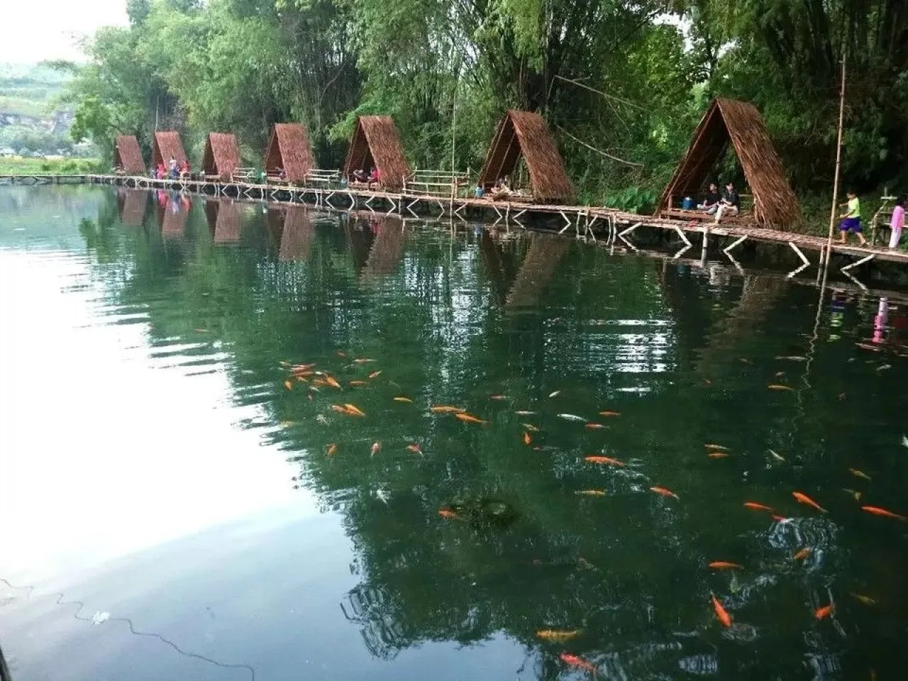 Rumpun Bambu Beron, Ekowisata Bernuansa Alam di Rengel yang Menarik Minat Warga