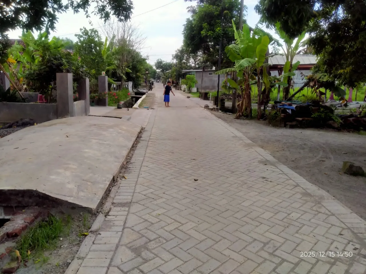 Perlancar Akses Warga, Pemdes Kedinding Bangun Jalan Paving