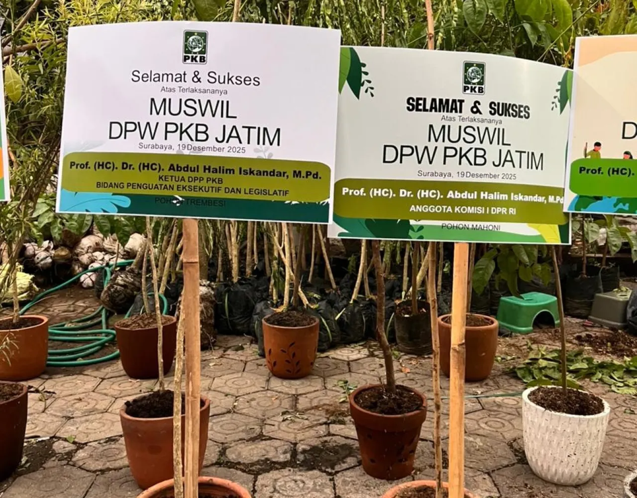 Komitmen Peduli Lingkungan, Muswil PKB Jatim Ganti Karangan Bunga dengan Bibit Pohon