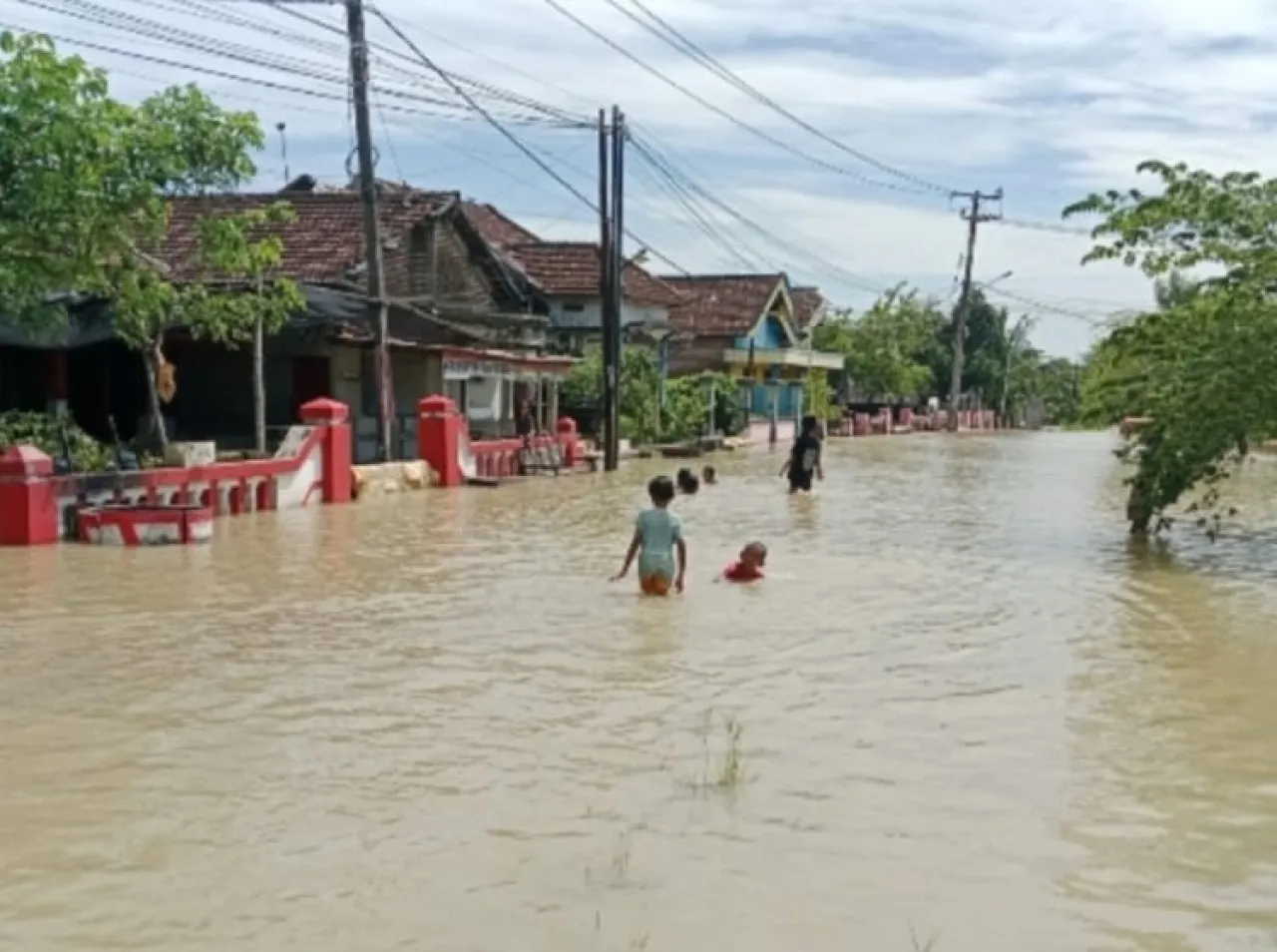 Banjir Luapan Kali Lamong Rendam Empat Desa di Gresik, Puluhan Hektare Padi Terancam Gagal Panen