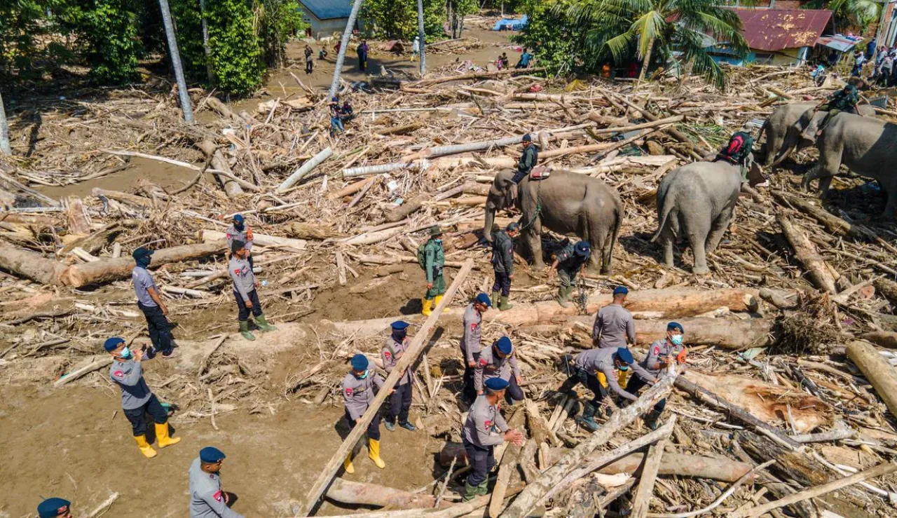 Prabowo Perintahkan HGU-HGU di Kawasan Banjir Dicabut