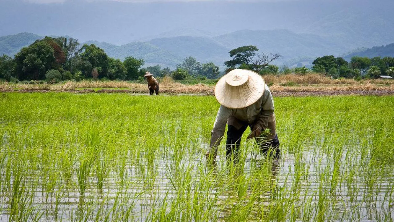 Petani itu Berpahala Besar