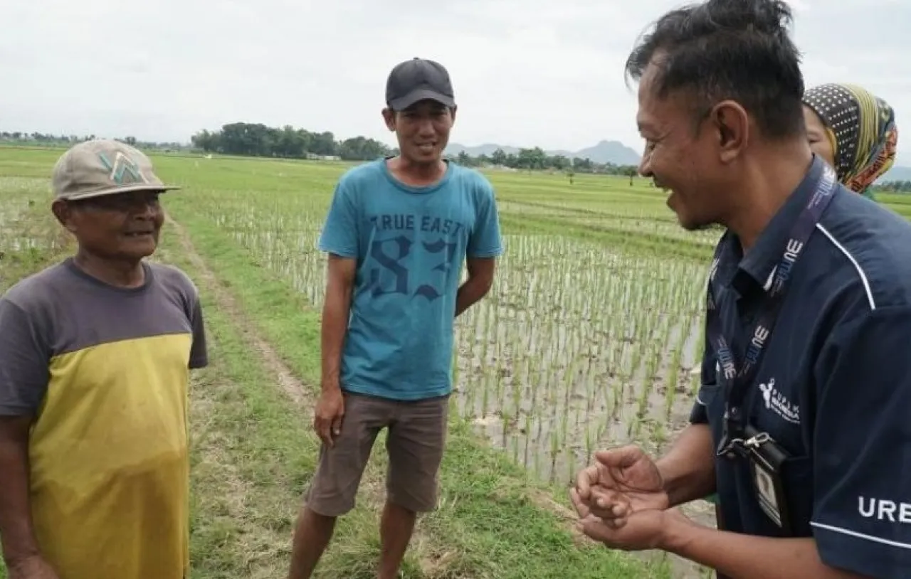 Dinas Pertanian Catat Serapan Pupuk Subsidi Tulungagung Capai 90 Persen