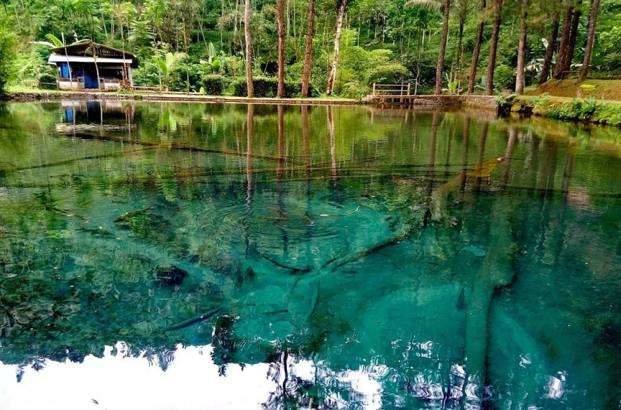 Telaga Rambut Monte di Blitar, Pesona Keindahan Alam yang Penuh Legenda