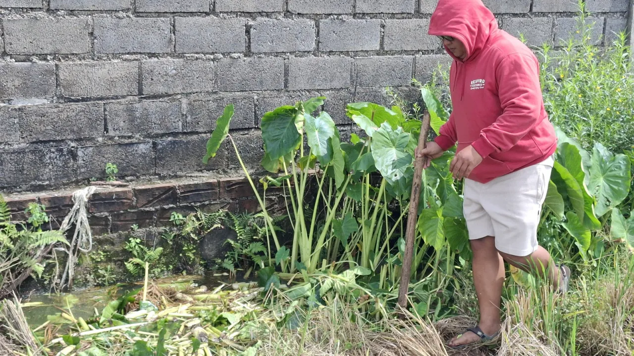Petani Keluhkan Bau Menyengat dan Tanah Rusak