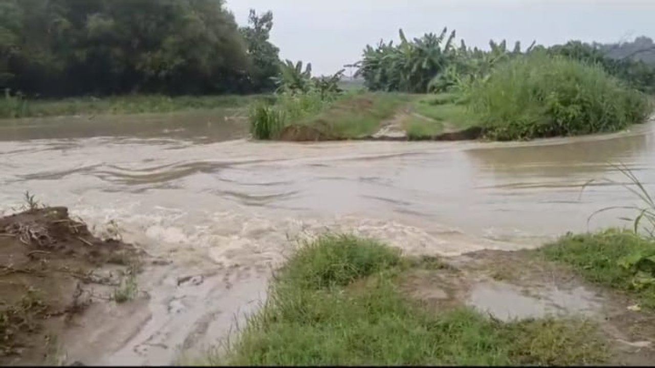 Tanggul non teknis Bengawan Solo di Desa Gedangan Maduran Lamongan Jebol sepanjang 7 meter karena tidak bisa menahan derasnya air. SP/MUHAJIRIN 