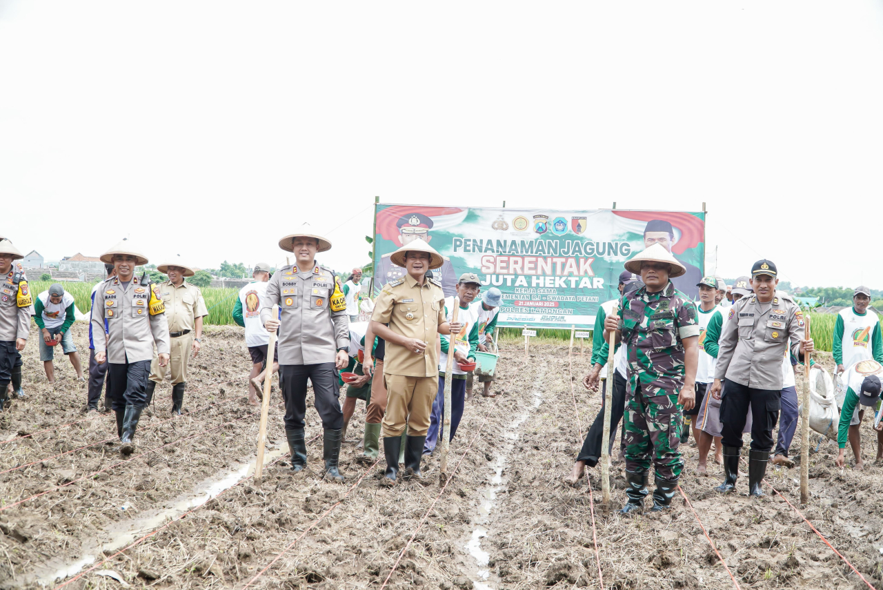 Gerakan menanam jagung mulai dilakukan oleh Polres kerjasama dengan Pemkab Lamongan.  FOTO:SP/IST