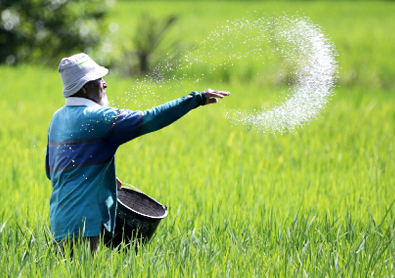 Ilustrasi. Lahan persawahan yang siap ditanam komoditas padi di Ponorogo, Jawa Timur. SP/ PNG