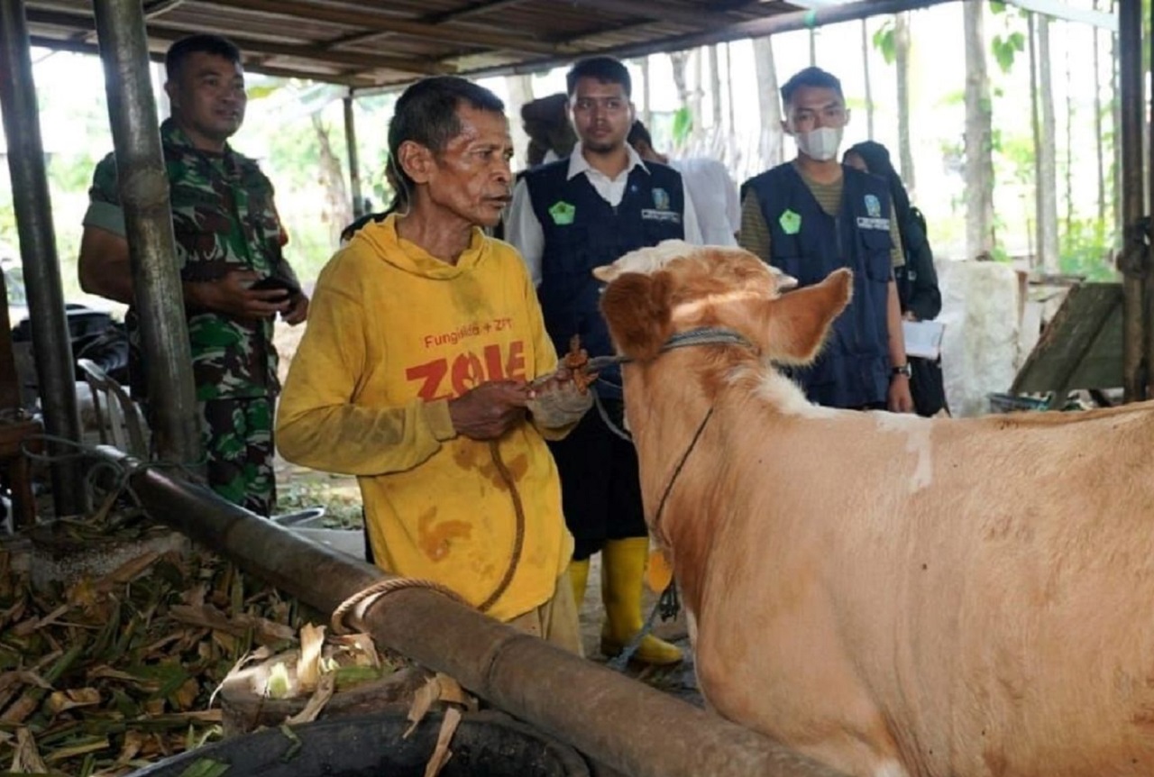 Ilustrasi. Salah seorang petugas sedang memeriksa ternak sapi milik warga di wilayah Pasuruan, Jawa Timur. SP/ PSR