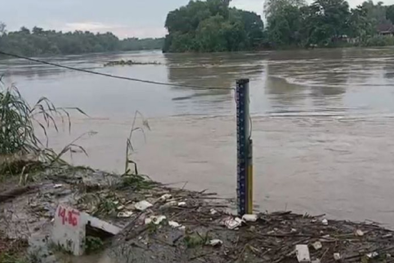 Kondisi terkini debit air Sungai Bengawan Solo di Kabupaten Bojonegoro yang saat ini berstatus siaga merah. SP/ BJN