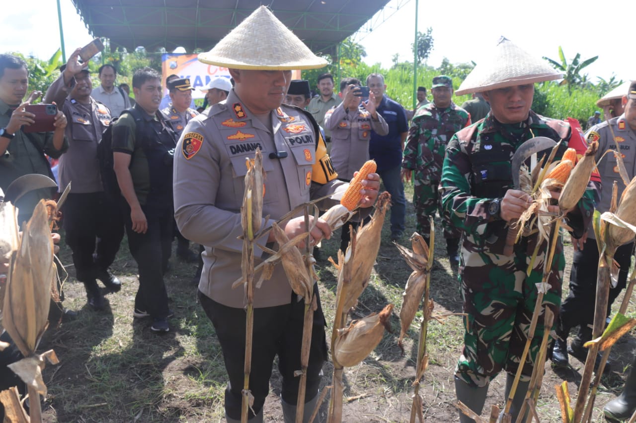 Kapolres Blitar Kota dan Komandan Kodim 0808 Blitar awali panen jagung. SP/Lestariono