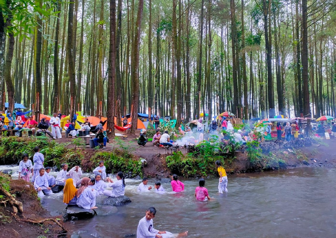 Salah satu sektor pariwisata di Lumajang, Hutan Pinus Poncokusumo. SP/ LMJ