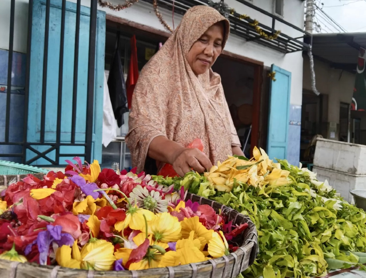 Ilustrasi. Petani bunga mawar di Jember, Jawa Timur sedang panen untung jelang bulan suci Ramadhan. SP/ JBR