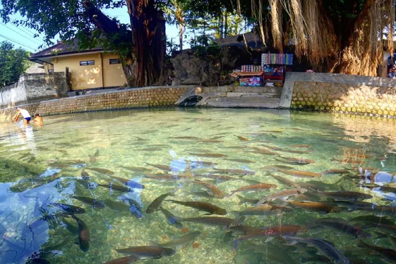 Keindahan yang menyimpan mistis destinasi wisata Goa Ngerong yang berada di Jalan Raya Rengel, Tuban, Jawa Timur. SP/ TBN