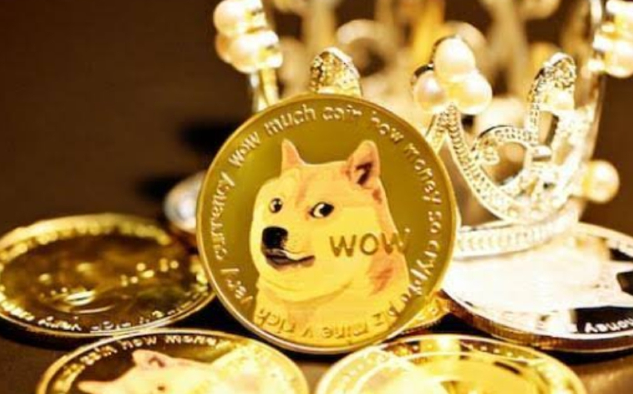Shiba Inu Coin.